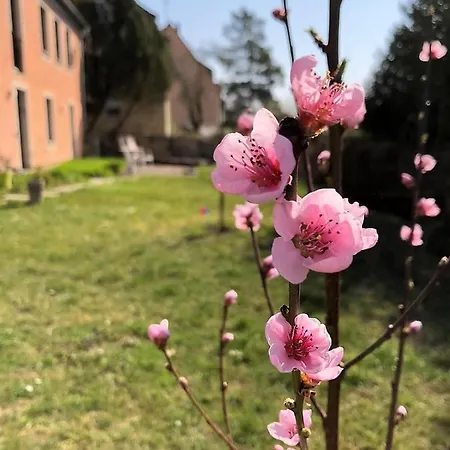 Ferienwohnung Um's Eck אוקסנפורט